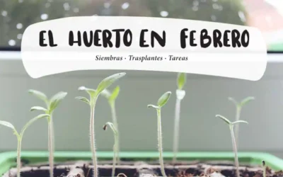 El Huerto en Febrero