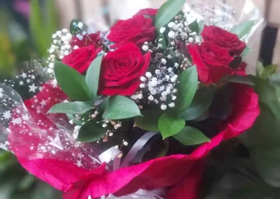 Vivero El Casar