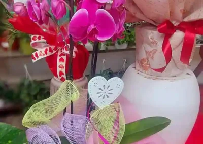 Vivero El Casar