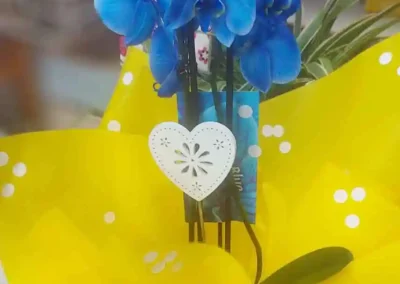 Vivero El Casar