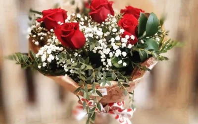Llaga San Valentín