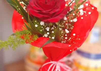 Vivero El Casar
