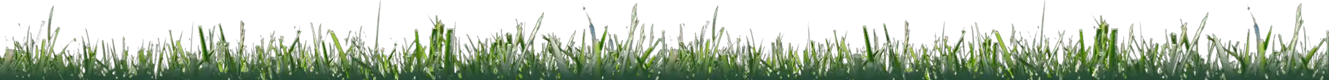 Vivero El Casar