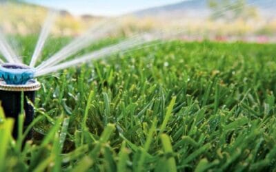 Consejos para el Verano