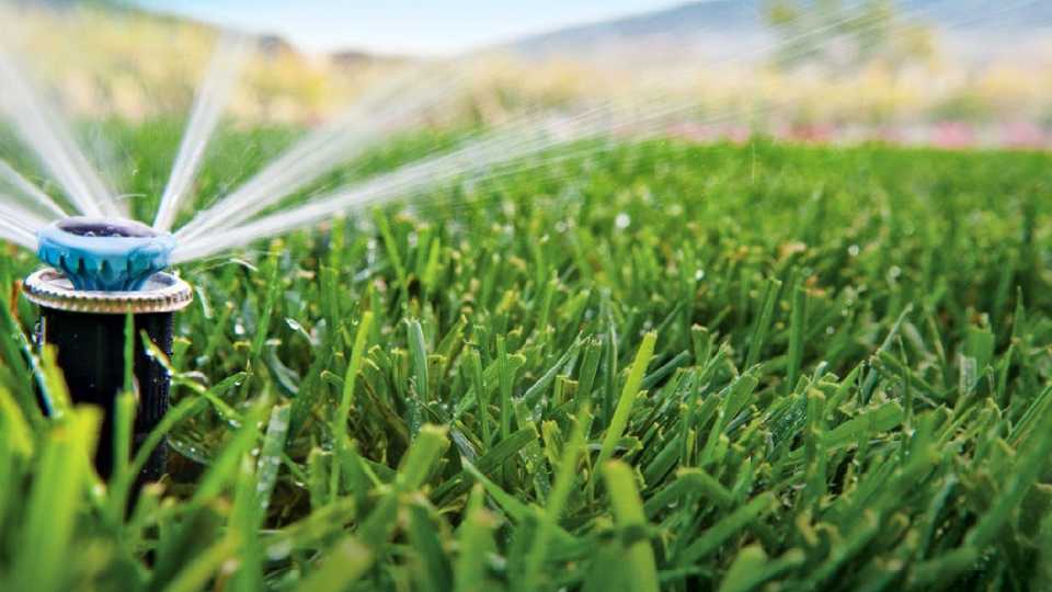 Consejos para el Verano