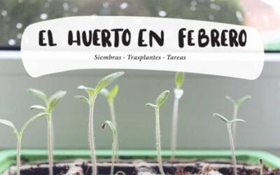 El Huerto en Febrero