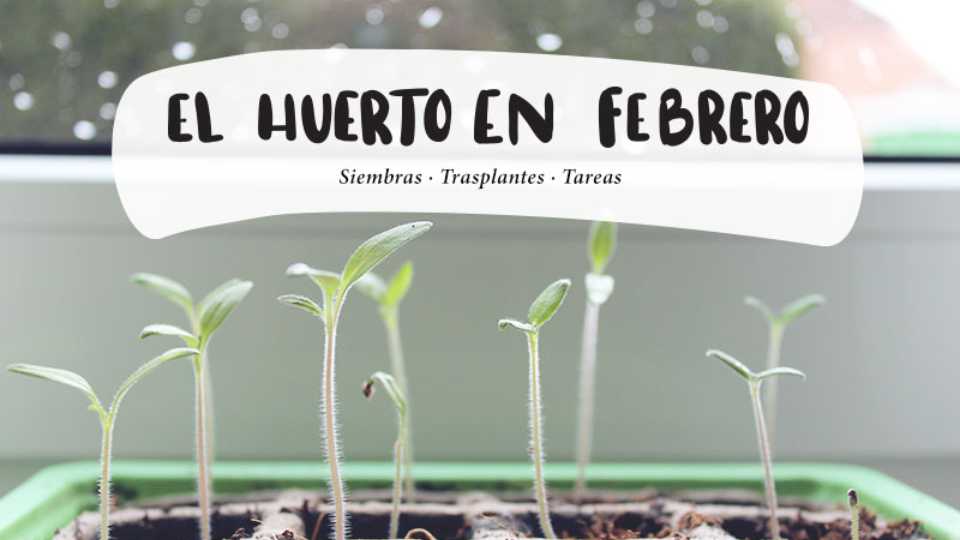 El Huerto en Febrero