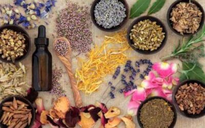 Plantas Antimenopausia